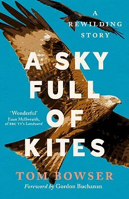 E-Book (epub) A Sky Full of Kites von Tom Bower