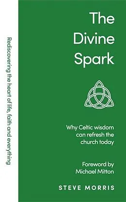E-Book (epub) Divine Spark von Steve Morris