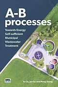 E-Book (epub) A-B processes von Yu Liu