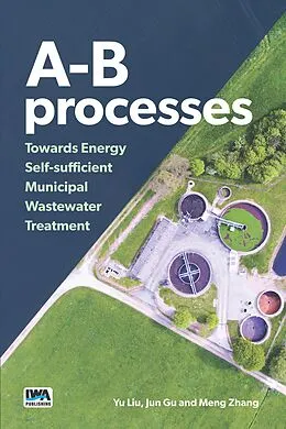 E-Book (epub) A-B processes von Yu Liu