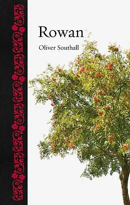 ePUB Rowan von Southall Oliver Southall