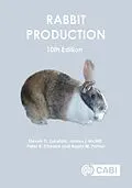 E-Book (epub) Rabbit Production von Steven Lukefahr, James I McNitt, Peter Robert Cheeke