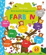 Fester Einband Mein buntes Klappenbuch: Farben von Felicity Brooks