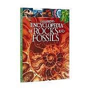 Fester Einband Children's Encyclopedia of Rocks and Fossils von Claudia Martin