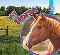 ePUB My Horse von Candice Letkeman