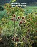 E-Book (epub) 25 Common Weeds for Magical Use von Briana Blair