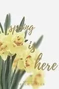 Kartonierter Einband Spring is here von Peter Slater