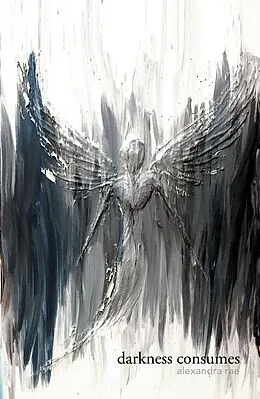 E-Book (epub) Darkness Consumes Light Empowers von Alexandra Rae