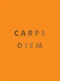 E-Book (epub) Carpe Diem von Summersdale Publishers