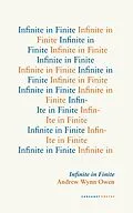 E-Book (epub) Infinite in Finite von Andrew Wynn Owen