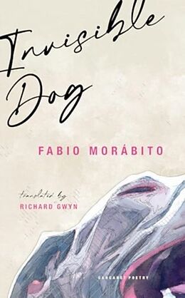 Couverture cartonnée Invisible Dog de Fabio Morabito