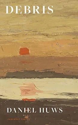 E-Book (epub) Debris von Daniel Huws