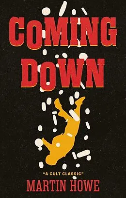 E-Book (epub) Coming Down von Martin Howe