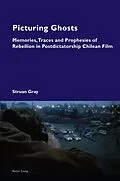 E-Book (pdf) Picturing Ghosts von Struan Gray