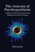 Kartonierter Einband (Kt) The Journey of Psychosynthesis von Parfitt Will