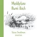 E-Book (epub) Meddyliau Bwni Bach von Steve Smallman