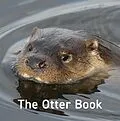 E-Book (epub) Otter Book von Jo Byrne