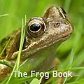 E-Book (epub) Frog Book von Jo Byrne
