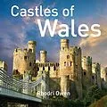 E-Book (epub) Castles of Wales von Rhodri Owen