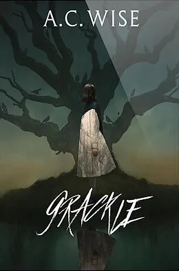 E-Book (epub) Grackle von A C Wise