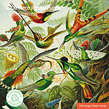 Article non livre Adult Sustainable Jigsaw Puzzle V&a: Hummingbirds de Flame Tree Publishing