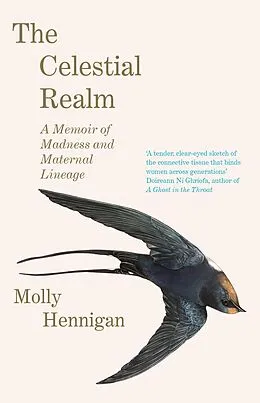 E-Book (epub) The Celestial Realm: SHORTLISTED FOR THE SUNDAY INDEPENDENT NEWCOMER OF THE YEAR IRISH BOOK AWARDS von Molly Hennigan