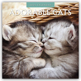 Kalender Adorable Cats  Liebenswerte Katzen 2025  16-Monatskalender von Robin Red