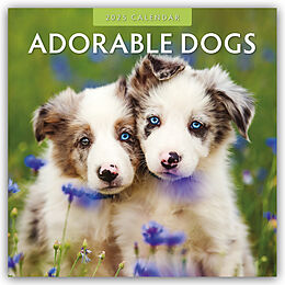 Kalender Adorable Dogs  Liebenswerte Hunde 2025  16-Monatskalender von Robin Red