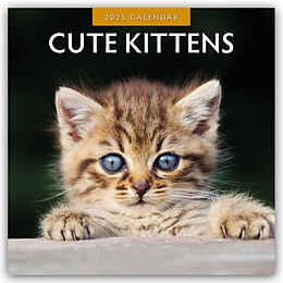 Kalender Cute Kittens  Niedliche Kätzchen 2025  16-Monatskalender von Robin Red