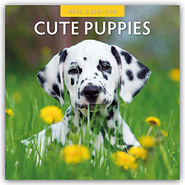 Kalender Cute Puppies  Niedliche Hundewelpen 2025  16-Monatskalender von Robin Red