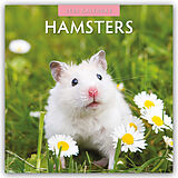 Geheftet Hamsters  Hamster 2025  16-Monatskalender von Robin Red