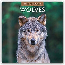 Kalender Wolves  Wölfe 2025  16-Monatskalender von Robin Red