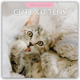 Kalender Cute Kittens - Niedliche Kätzchen 2026 - 16-Monatskalender von Red Robin Publishing Ltd