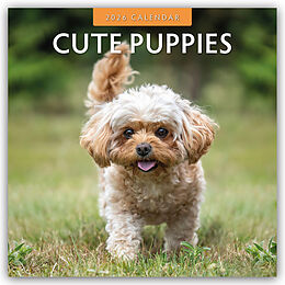 Kalender Cute Puppies - Niedliche Hundewelpen 2026 - 16-Monatskalender von Red Robin Publishing Ltd