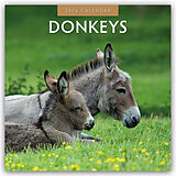Kartonierter Einband (Kt) Donkeys 2026 Square Wall Calendar von Red Robin