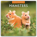 Kartonierter Einband Hamsters 2026 Square Wall Calendar von Red Robin