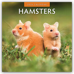 Kalender Hamsters - Hamster 2026 - 16-Monatskalender von Red Robin Publishing Ltd