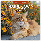 Kartonierter Einband Maine Coon Cats 2026 Square Wall Calendar von Red Robin