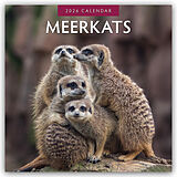 Kartonierter Einband Meerkats 2026 Square Wall Calendar von Red Robin