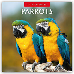 Kalender Parrots - Papageien 2026 - 16-Monatskalender von Red Robin Publishing Ltd
