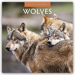 Kalender Wolves - Wölfe 2026 - 16-Monatskalender von Red Robin Publishing Ltd