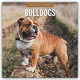 Kartonierter Einband Bulldogs 2026 Square Wall Calendar von Red Robin