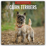 Kartonierter Einband Cairn Terriers 2026 Square Wall Calendar von Red Robin