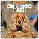 Kartonierter Einband English Cocker Spaniels 2026 Square Wall Calendar von Red Robin