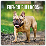 Kartonierter Einband French Bulldogs 2026 Square Wall Calendar von Red Robin