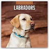 Kartonierter Einband Labradors 2026 Square Wall Calendar von Red Robin