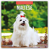 Kartonierter Einband Mastiffs 2026 Square Wall Calendar von Red Robin