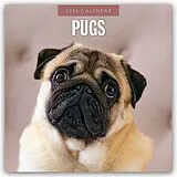 Kartonierter Einband Pugs 2026 Square Wall Calendar von Red Robin