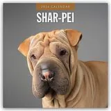 Kartonierter Einband Shar-Pei 2026 Square Wall Calendar von Red Robin
