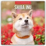 Kartonierter Einband Shiba Inu 2026 Square Wall Calendar von Red Robin